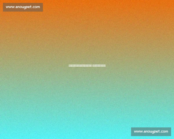 点球战泪洒赛场!苏州寇程失点饮恨 大连鲲城逆袭锁前四