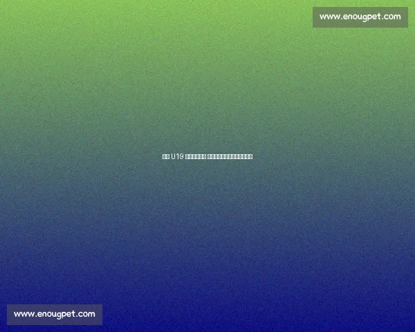 法国 U19 男排卫冕夺冠 中国队成唯一击败冠军的队伍