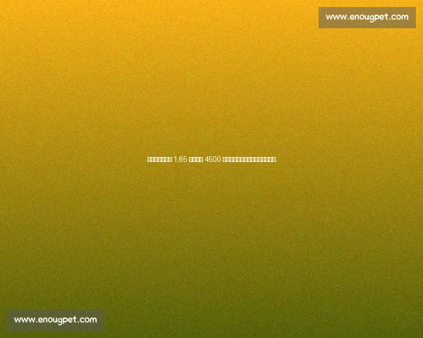 拜仁今夏卖人筹 1.65 亿！特尔 4500 万加盟热刺，科曼金玟哉领衔清洗