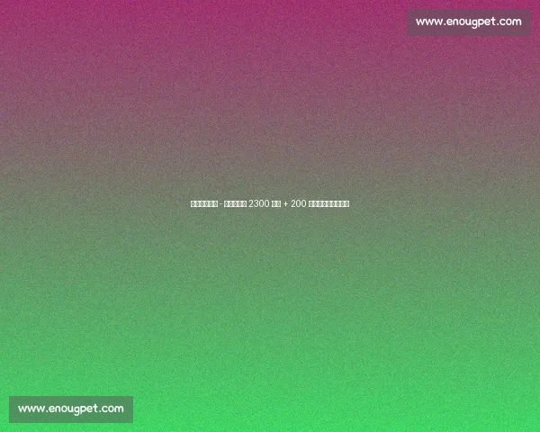 狼队官宣费尔 - 洛佩斯加盟 2300 万欧 + 200 万浮动签西班牙新星