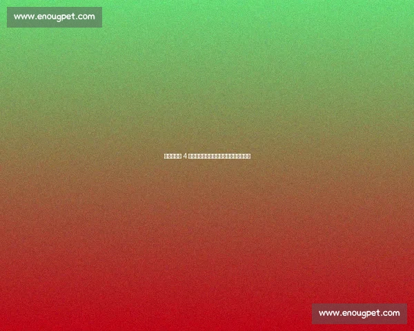 福登世俱杯 4 球创纪录！超越鲁尼凯恩成英格兰射手王