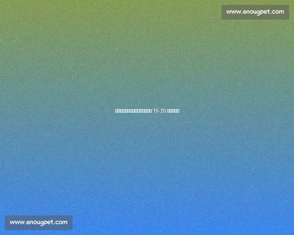 段冉:李月汝飞翼队目标稳定轮换 15-20 分钟成关键