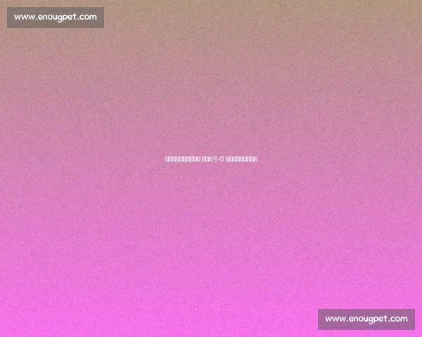 梅里诺帽子戏法定乾坤 西班牙 6-0 横扫土耳其经典回顾