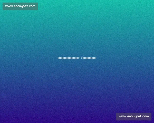 德转确认！孙正傲租借加盟青岛海牛 1.2 万欧创中超租借费新低