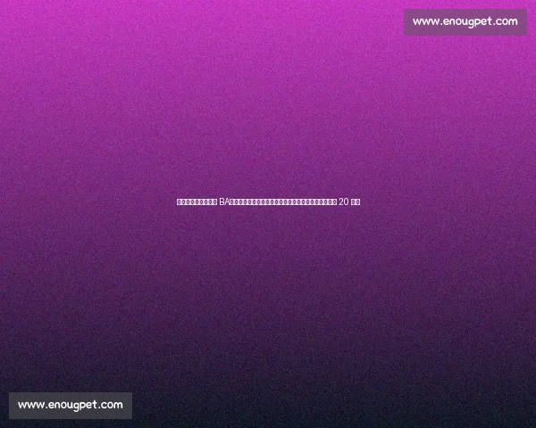 哈登广州冒雨燃情村 BA！周玲安曝花絮：球迷热情点燃阴雨，大胡子拒伞签名 20 分钟