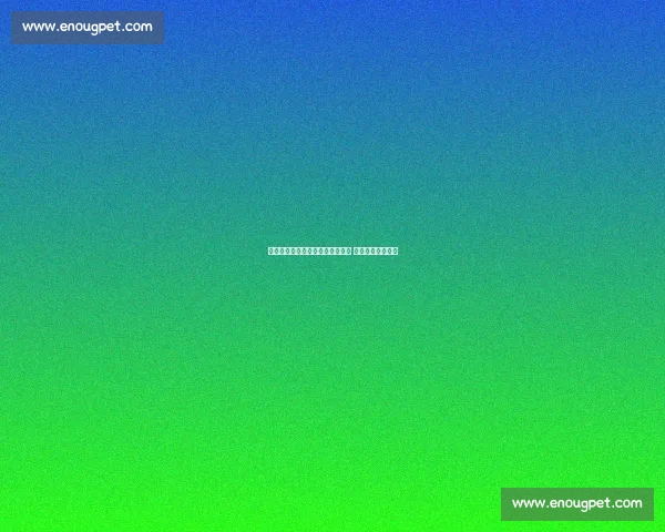 曼联确认科利尔不参与巴莱巴交易 外租计划浮出水面