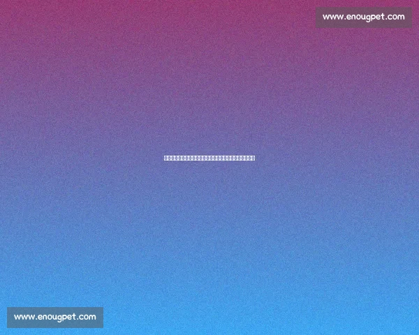 官方：西班牙人免签塞尔维亚国门德米特罗维奇，签约三年