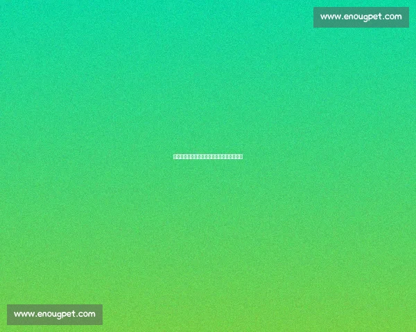 夏日冰演：花滑少年与樱花贝尔曼的迷藏之舞