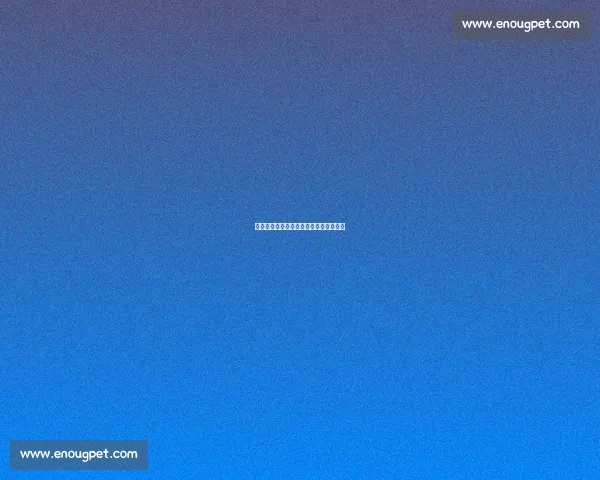 洪流中的脊梁:担当与温情铸就生命防线