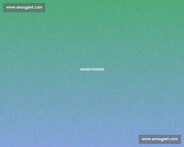 梦八名人堂聚首 队魂科比云端守望