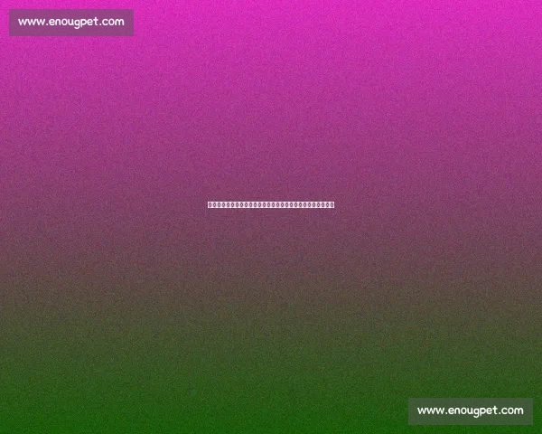 张君龙迎战约书亚巅峰对决揭示重量级拳坛新格局之夜全球瞩目