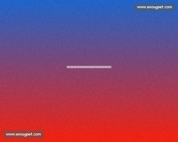 团队篮球再现威力马刺第三场压制热火奠定系列赛走向关键优势显露