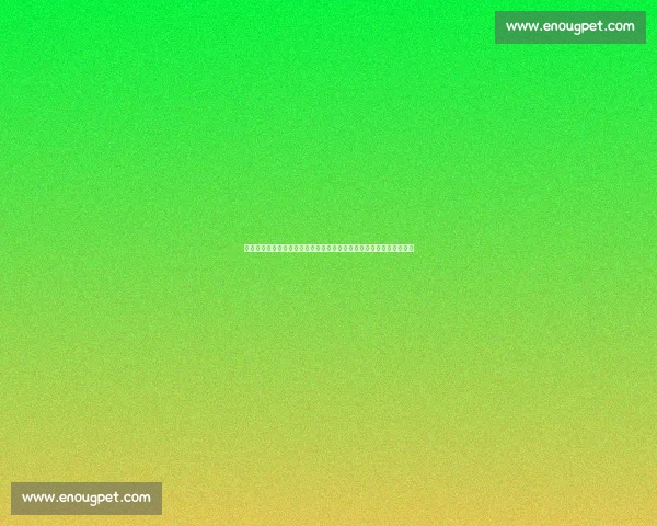 以哈麦德对决巴雷拉巅峰之战揭示力量与技巧的终极较量世界拳坛风云