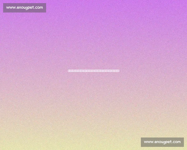 平野与朱雨玲巅峰对决技术博弈引爆乒坛焦点战世界赛场心理较量全景解析