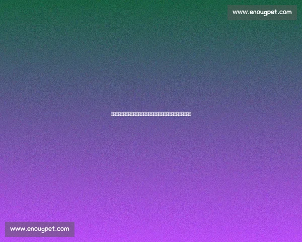 大冠军杯焦点战中国女排对决日本宿敌荣耀与意志之争世界舞台巅峰较量