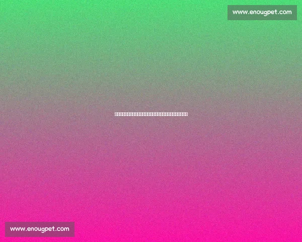 北京金隅迎战广东强敌巅峰对决赛季关键一役前瞻焦点之夜全解析