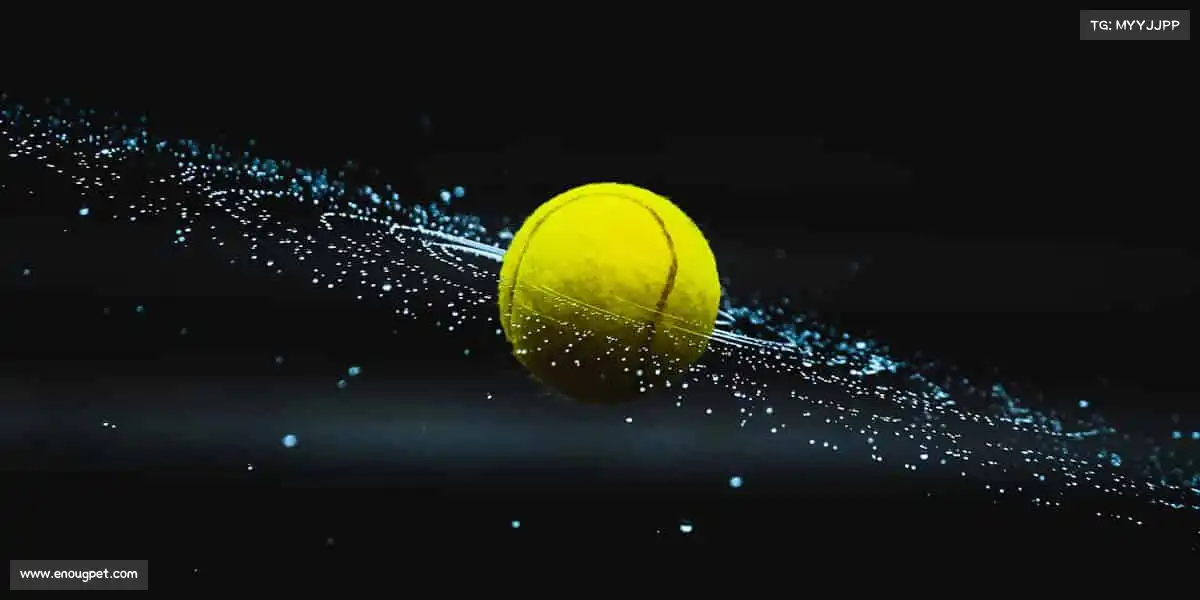 <strong>BB贝博艾弗森官网</strong>💪汗水浇灌热爱，体育让生活充满「肌」情！