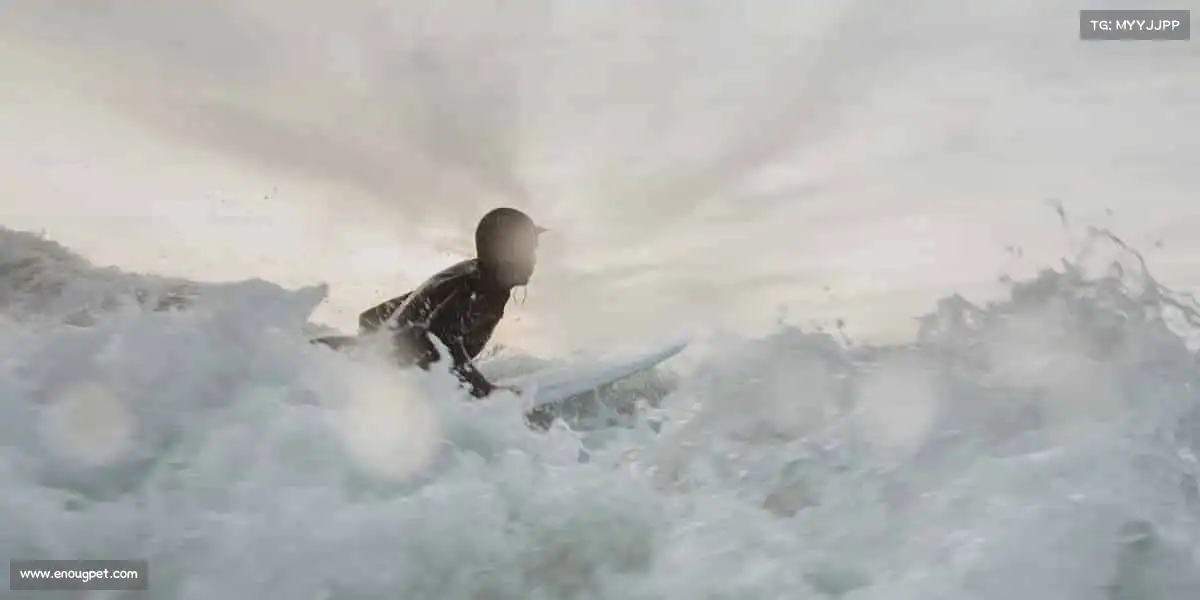 米兰官网🏊♀️在浪潮中破浪,在赛道上追风,运动即自由!